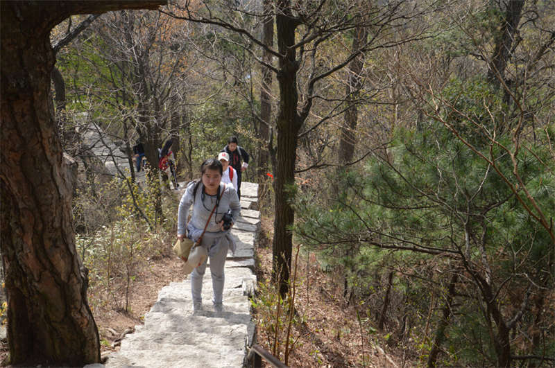 外围知名博鱼官网