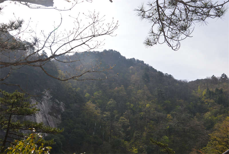 外围知名博鱼官网